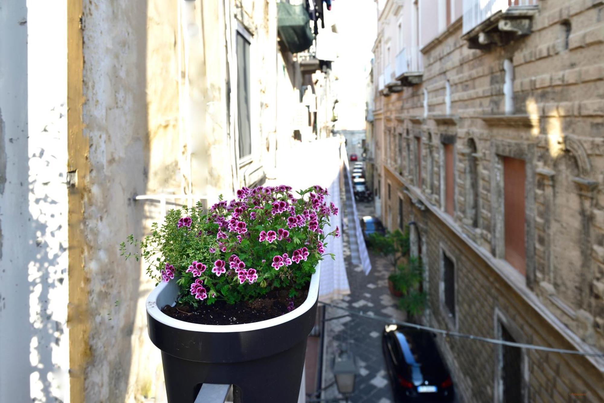 Ciaobari - Elegant 4 Bedrooms In The Heart Of Old Town Bari